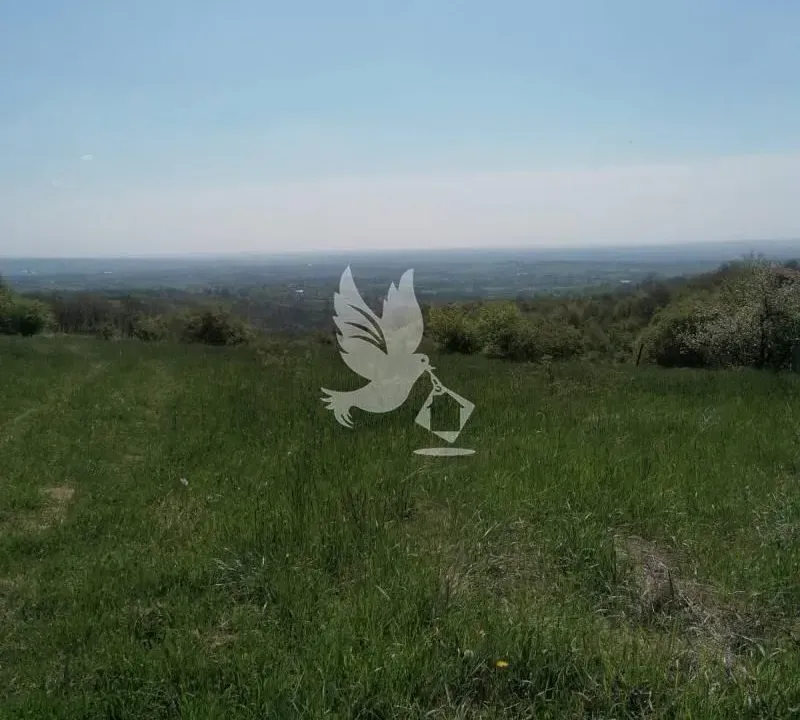 Prodaja, plac, 20000m², Mladenovac, Beograd