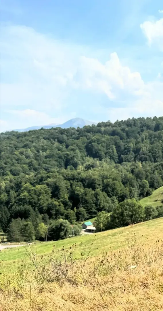 Sale, land lot, 200719m², Mojkovac, Crna Gora