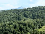 Sale, land lot, 200719m², Mojkovac, Crna Gora - image 2