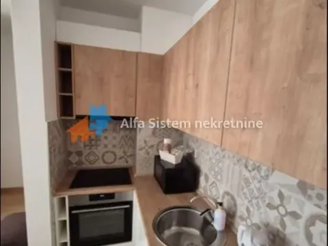 Rent, two bedroom apartment, 50m², Južni Bulevar, Vračar Sve Podlokacije - image 3