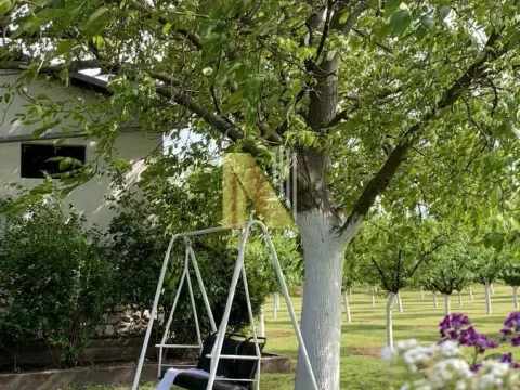 Sale, land lot, 190m², Kikinda, Srbija - image 34