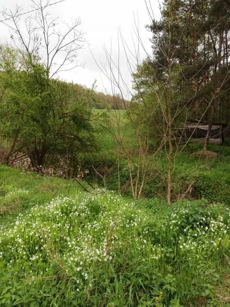 Prodaja, plac, 4700m², Babe, Sopot