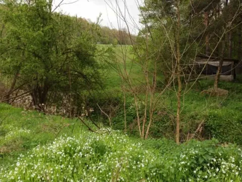 Sale, land lot, 4700m², Babe, Sopot - image 7