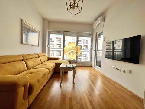 Izdavanje, jednosoban stan, 50m², Ljubović, Podgorica - image 2