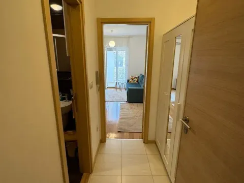 Izdavanje, stan, 26m², Blok 6, Podgorica - image 4