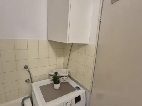 Izdavanje, dvosoban stan, 50m², Novi Beograd Blok 22, Novi Beograd Sve Podlokacije - image 13