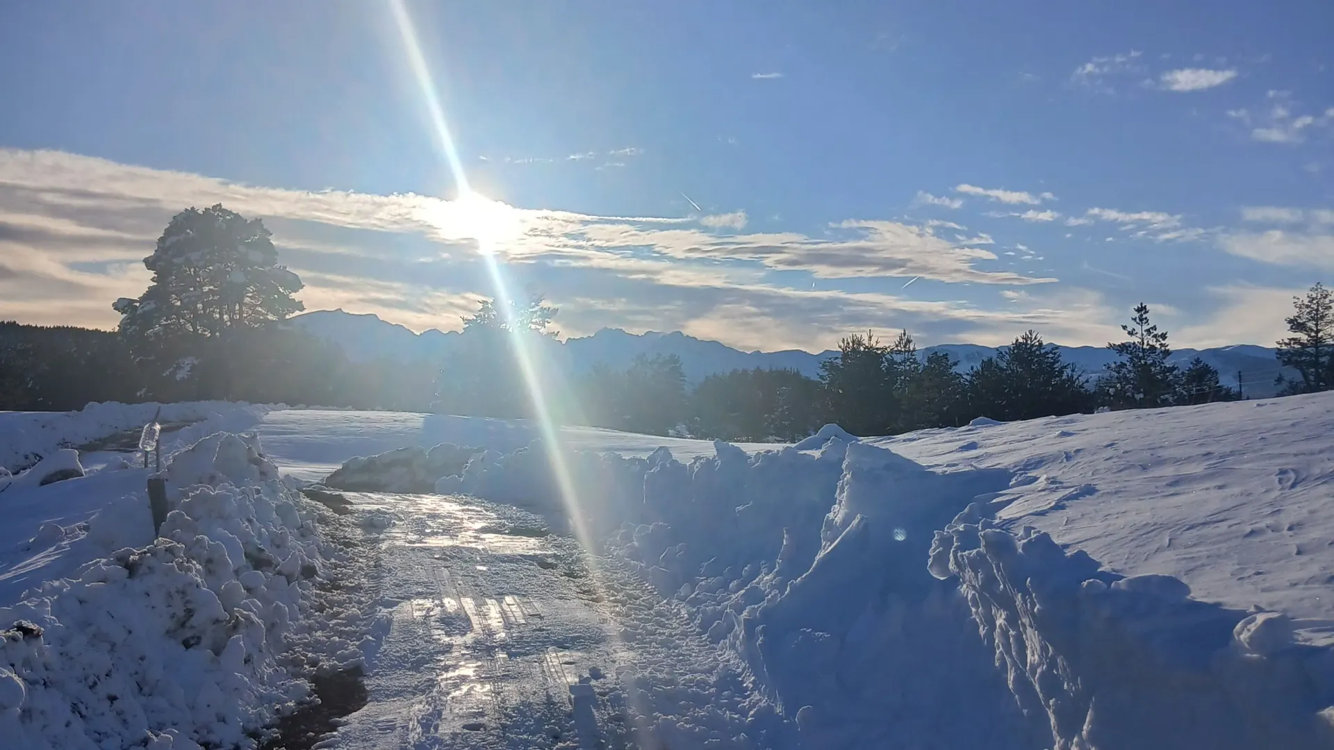 Prodaja, plac, 3000m², Borje, Žabljak