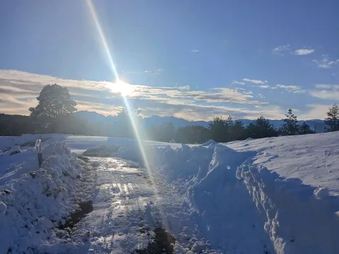 Prodaja, plac, 3000m², Borje, Žabljak - image 4