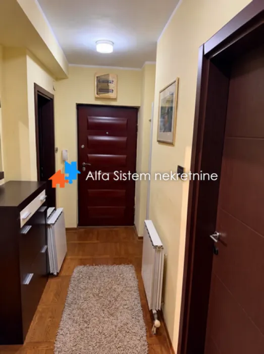 Izdavanje, dvosoban stan, 75m², Južni Bulevar, Vračar Sve Podlokacije