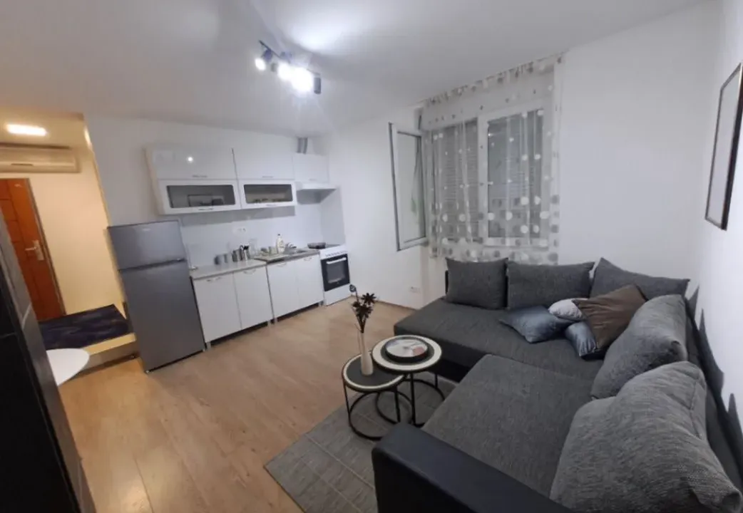Izdavanje, jednosoban stan, 45m², Centar, Podgorica