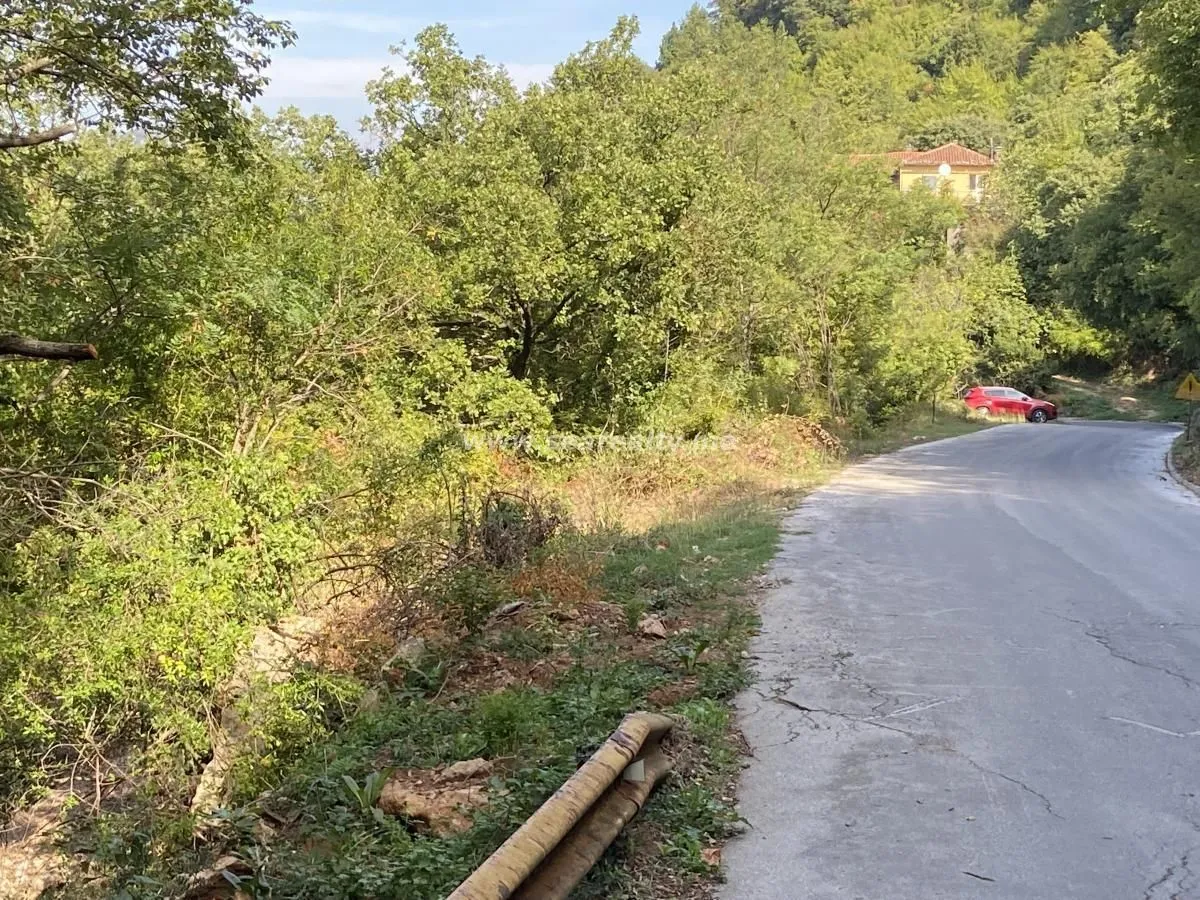 Asfaltni put pored parcele okružene zelenilom.