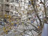 Izdavanje, stan, 35m², Stari Grad, Beograd - image 22