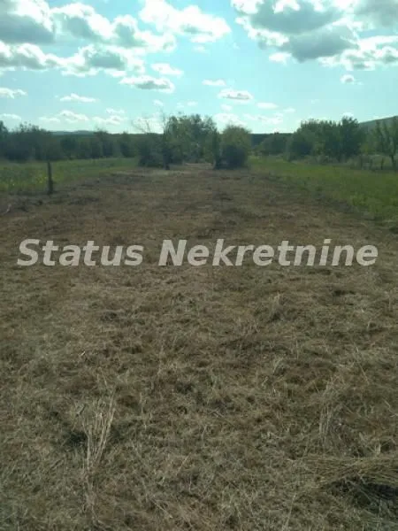 Prodaja, plac, 2220m², Begeč, Novi Sad Sve Podlokacije