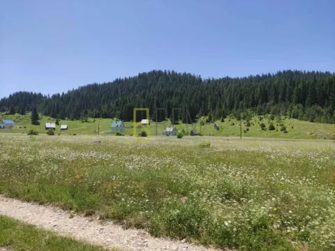 Sale, land lot, Krš, Žabljak