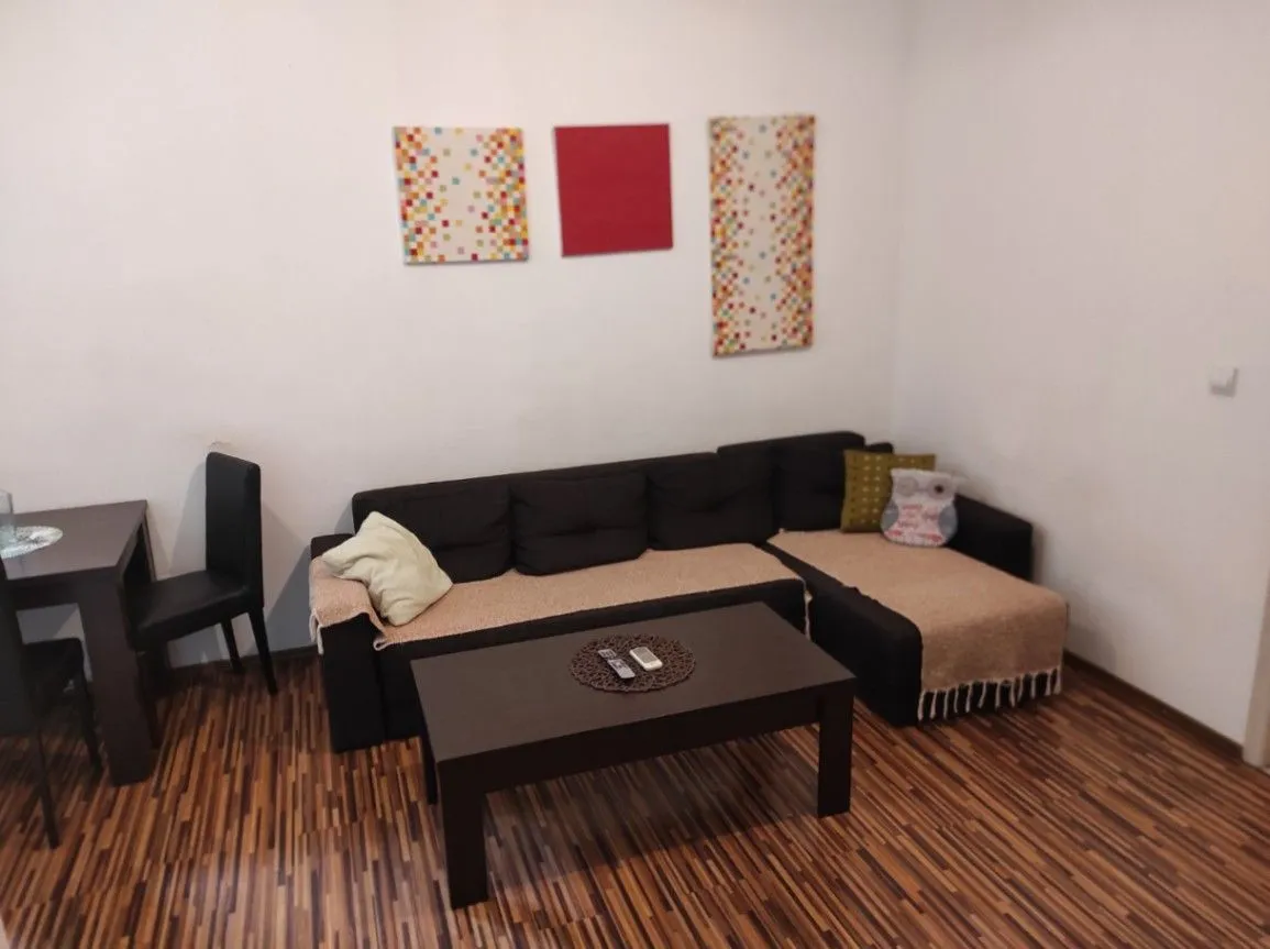 Izdavanje, jednosoban stan, 45m², Preko Morače, Podgorica