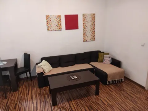 Izdavanje, jednosoban stan, 45m², Preko Morače, Podgorica