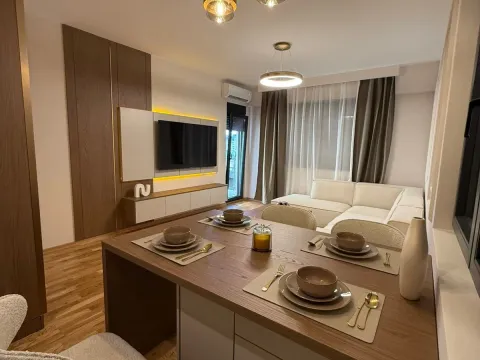 Rent, two bedroom apartment, 64m², Vezirov Most, Podgorica - image 6