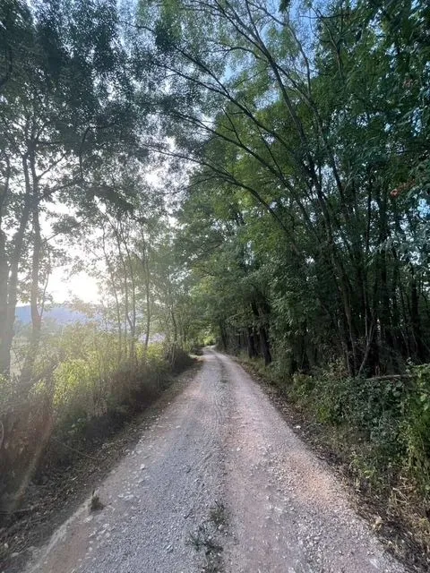 Prodaja, plac, 5554m², Jastreb, Danilovgrad