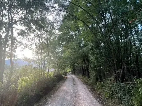 Prodaja, plac, 5554m², Jastreb, Danilovgrad - image 2