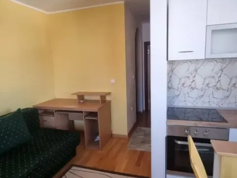 Rent, one bedroom apartment, 33m², Nova Detelinara, Novi Sad Sve Podlokacije - image 3