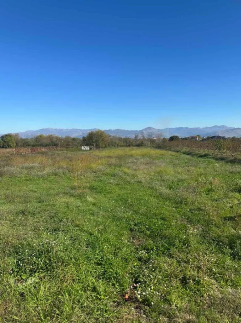 Prodaja, plac, 1000m², Podgorica, Crna Gora