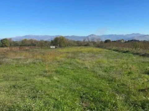 Sale, land lot, 1000m², Podgorica, Crna Gora - image 7
