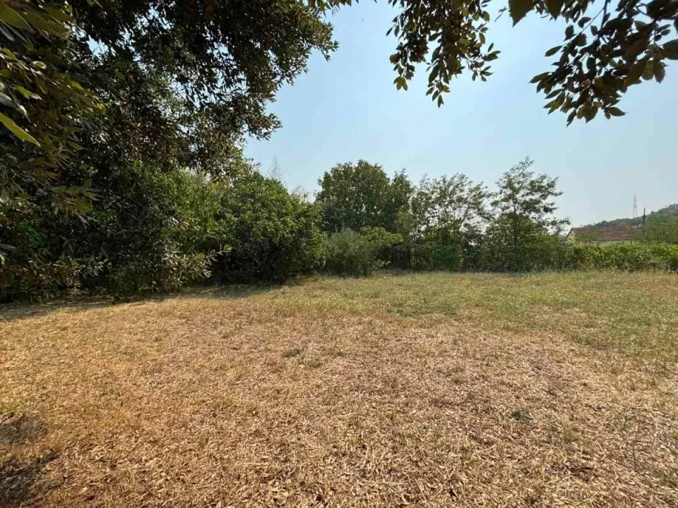 Prodaja, plac, 7331m², Farmaci, Podgorica