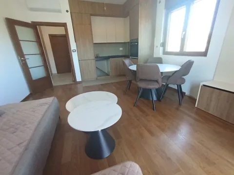 Izdavanje, jednosoban stan, 50m², Centar, Podgorica - image 12