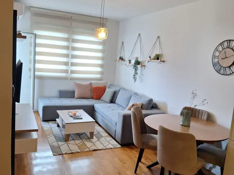 Rent, one bedroom apartment, 39m², Zabjelo, Podgorica - image 2