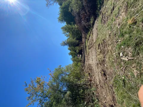 Prodaja, plac, 2500m², Veruša, Podgorica - image 2