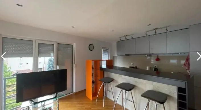 Rent, one bedroom apartment, 42m², Denkova Basta, Zvezdara Sve Podlokacije