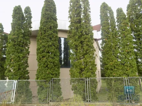 Izdavanje, poslovni prostor, 270m², 7. juli, Paraćin - image 24