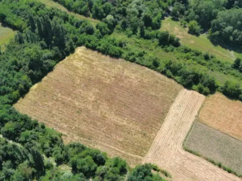 Prodaja, plac, 17000m², Zeta, Podgorica - image 2