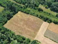 Sale, land lot, 17000m², Zeta, Podgorica - image 2