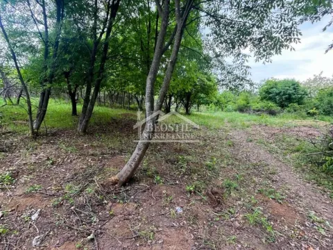 Sale, land lot, 2400m², Grocka, Beograd - image 3