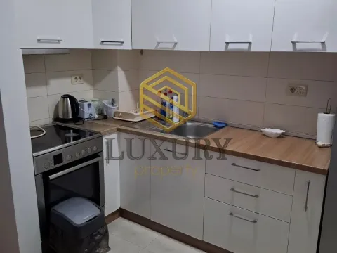 Izdavanje, jednosoban stan, 47m², City Kvart, Podgorica - image 4