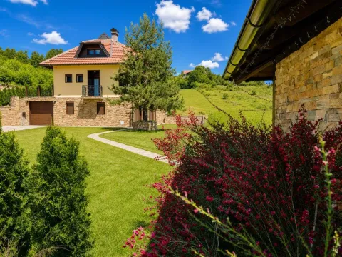 Prodaja, kuća, 270m², Zlatibor, Srbija - image 4