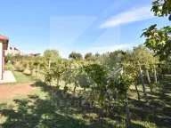 Prodaja, kuća, 68m², Zeta, Podgorica - image 15