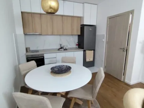 Izdavanje, jednosoban stan, 45m², Zabjelo, Podgorica - image 6