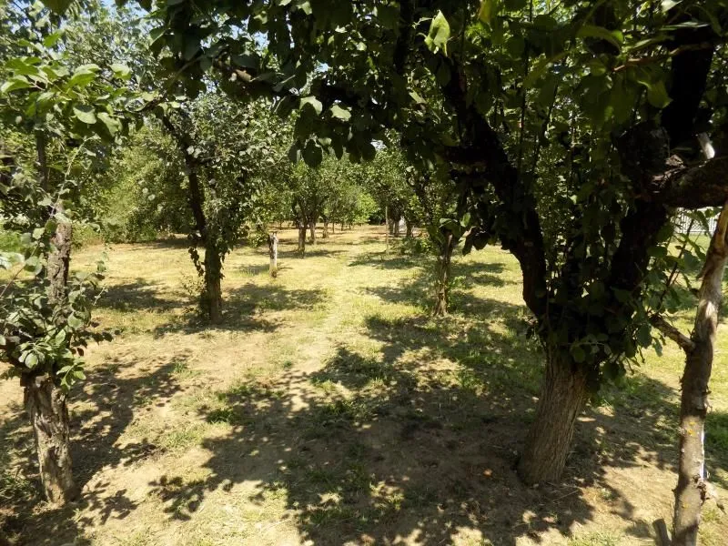 Prodaja, kuća, 110m², Ćuprija, Srbija