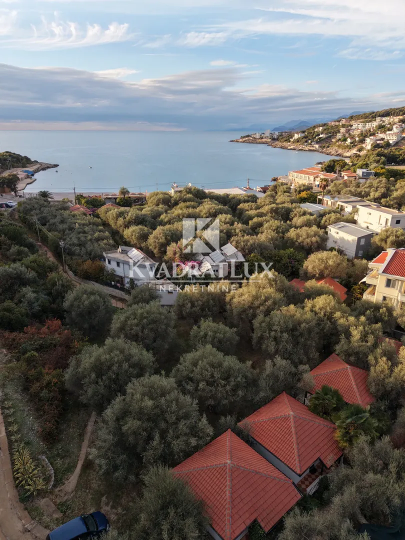 Pogled iz vazduha na obalu mora i okolno zelenilo.