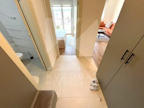 Izdavanje, jednosoban stan, 45m², Zagorič, Podgorica - image 8