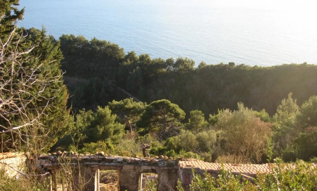 Prodaja, plac, 11246m², Budva, Crna Gora