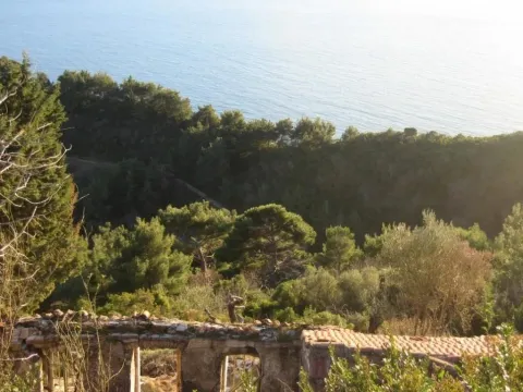 Prodaja, plac, 11246m², Budva, Crna Gora - image 8