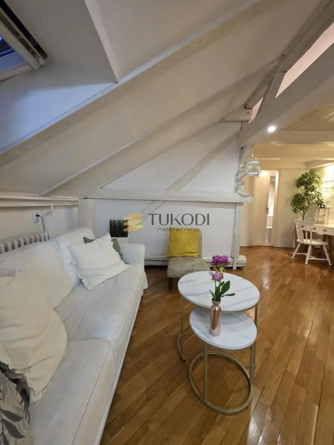 Rent, one bedroom apartment, 45m², Botanička Bašta, Palilula Sve Podlokacije