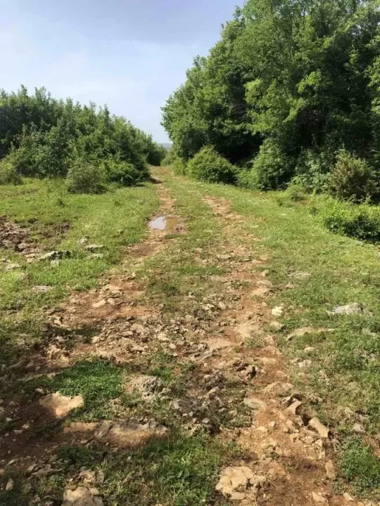 Sale, land lot, 17522m², Velja Gorana, Bar
