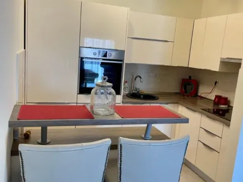 Izdavanje, jednosoban stan, 52m², Preko Morače, Podgorica - image 4