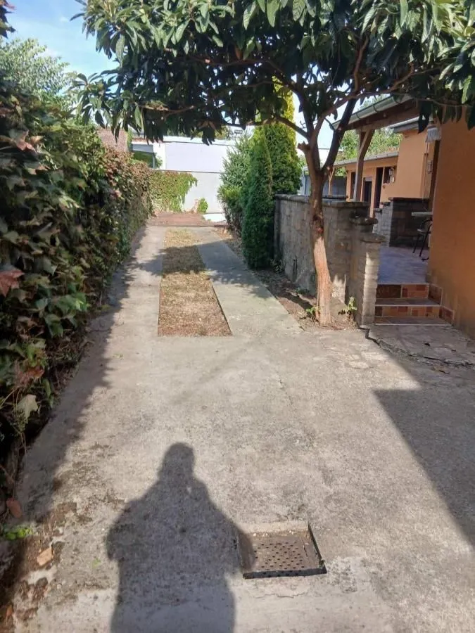 Dvorište kuće sa stazom, drvećem i zelenilom.