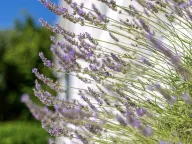 Prodaja, kuća, 423m², Lepetani, Tivat - image 46