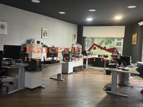 Izdavanje, poslovni prostor, 185m², Vračar Hram, Vračar Sve Podlokacije - image 4